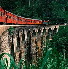 Wild elephants in photorealistic scene